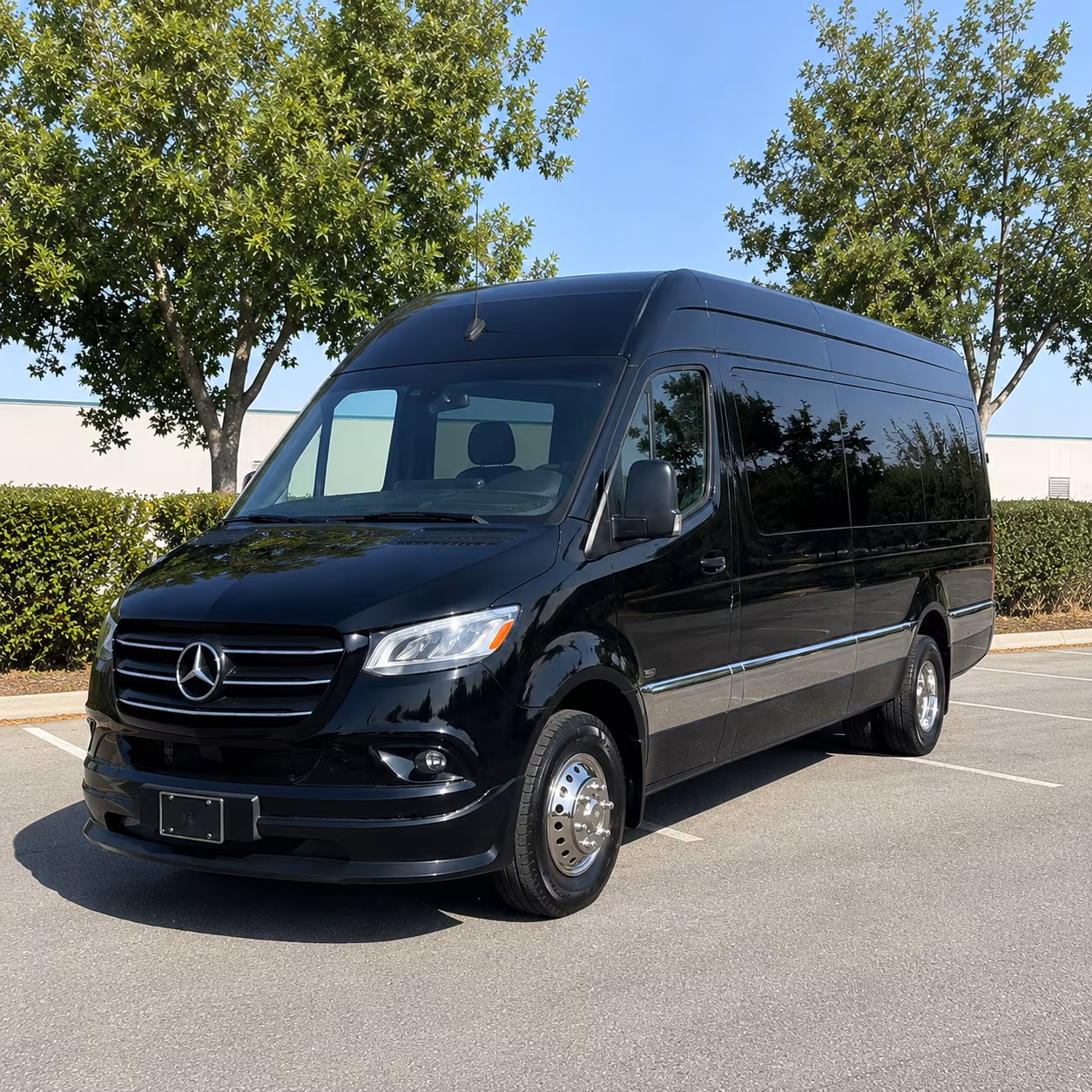 mesquite seamless transportation for your wedding party and guests